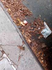 Trash on an Upper East Side Street. Photo: Patricia C. Bishof
