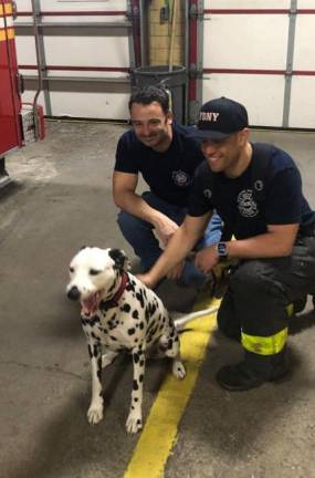 <b>Andrew Serra (left) catches up with “Tank” the mascot of Ladder 20 and firefighter Robert Colon who served nine years with his former captain in SOHO’s Ladder 20.</b>Photo: Keith J. Kelly