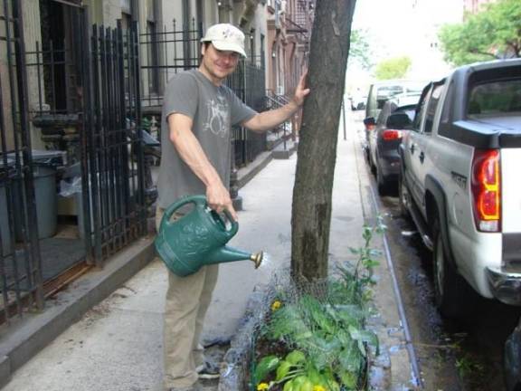 Brian Vincent said he developed an interest in horticulture shortly after he spied the woman who would become his wife, the actress Heather Spore, watering hostas plants as part of a community beautification program of tree boxes in Hell’s Kitchen. Photo: Courtesy Heather Spore