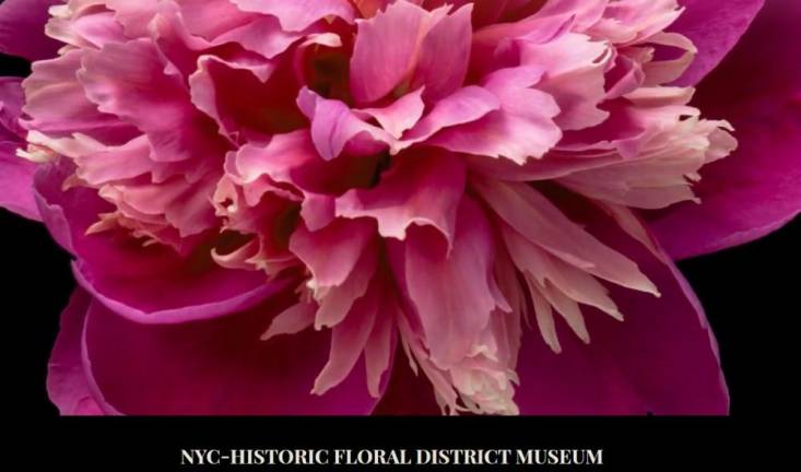 To jump start his fundraising efforts to start a flower museum in Chelsea, floral designer James Francois-Pijuan has formed a not-for-profit corporation and launched a web site featuring stunning flower visuals and classic black and white photos of the early years of the floral district. Photo: NY Historic Floral District Museum web site.