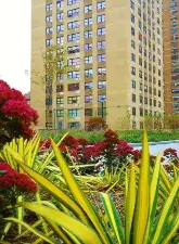 Legionnaire’s disease has been detected in the water system of Haven Plaza, a housing complex in the East Village, after an NYC Health Department probe.