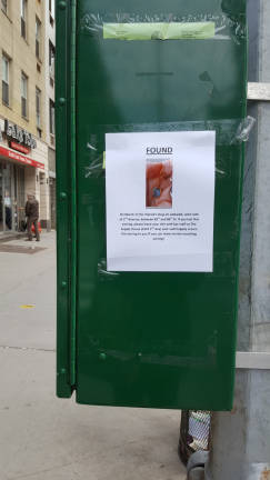 Sternberg posted fliers along Second Avenue. Photo: Robin Sternberg