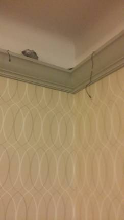 The crown molding across from Ruth Berk's apartment door after attorney Arthur Schwartz removed surveillance cameras he said were placed there obviously and for the purpose of harassing and intimidating Berk.