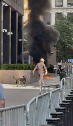 A person identified as Andrew Arrabaca, (right in dark clothing) was videoed throwing a rectangular object into the fire that he allegedly set outside 26 Federal Plaza before being tackled by law enforcement. The person with the dog removed an air soft rifle that Arrabaca had placed on the ground.