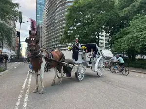 The Transport Workers Union says that Deniz, a horse who dramatically collapsed and died in Central Park earlier this month, was killed by a toxic plant—and not animal abuse, as some charge.