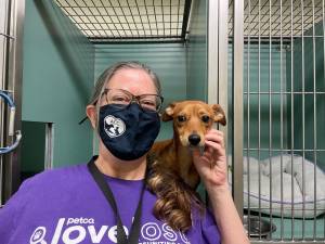 Katy Hansen of the ACC with Khluya, a dog awaiting adoption. Photo: Shantila Lee