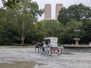 Bethesda Fountain at Carnegie Hill from where a horse bolted, causing the death of Romanch.