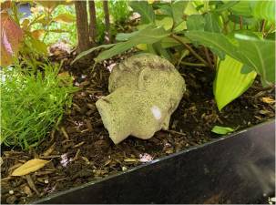 The head from a statue of St. Anthony of Padua was found on steps outside St. John the Baptist R.C. Church in Chelsea. A vandal, captured on surveillance video, struck around 4 a.m. on June 9.