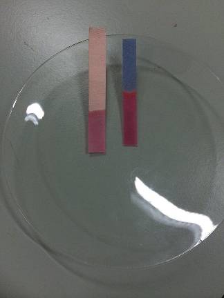 The effect of acid solution on red and blue litmus papers. In an acid solution, the litmus papers turn red.