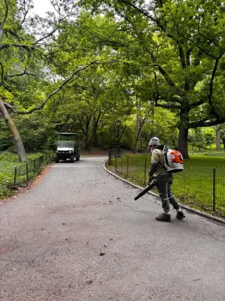 A work from the Central Park Conservancy at work in the park.