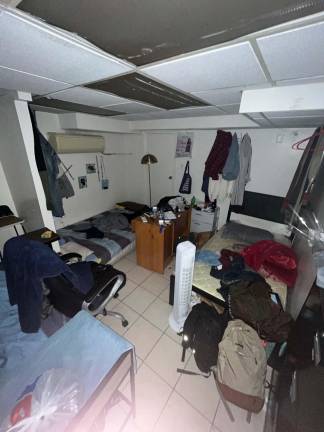 Illegal living subterannean style at 118 and 120 Elizabeth streets.