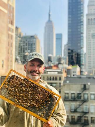 Andrew Coté with his bees.