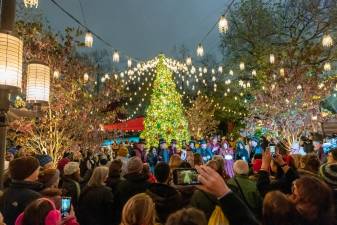 Tree-lighting at Tavern on the Green. Photo: John Nacion