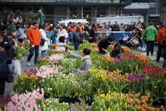 An estimated 170,000 tulips were dispensed for free at Tulip Day 2025 on March 30 in Union Square.