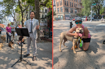 Left: Christopher Marte (left) at the music stand; Right: a dog lover and her happy, adopted partial pit bull.