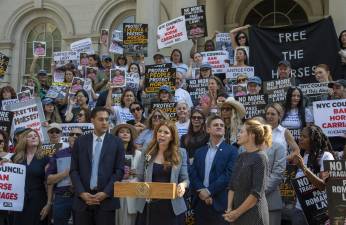 The NY City Council’s Committee of Health held its first contentious hearing for “Romanch’s Law,” which would ban horse carriages in Central Park if passed, July 15.