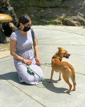 Melanie Horn walks Toki in Central Park.