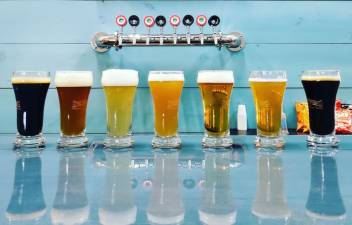 Sample unlimited drinks from Apex and six other local breweries at the Black Dirt Beer Bash on Saturday, Sept. 18, at Sugar Loaf Performing Arts Center. Tickets are available at: blackdirtbeerbash.eventbrite.com