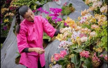 Landscape artist Lily Kwong is putting on the latest Orchid Show at the NY Bontanical Garden. Photo: Jill Brooke