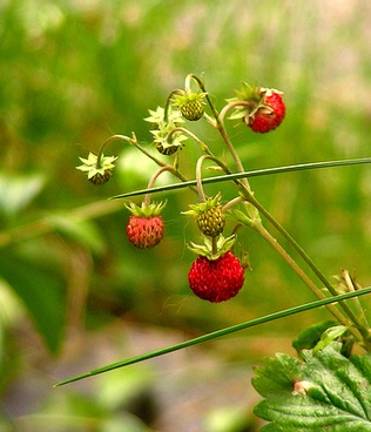WATER WORLD: ON PEEING OUTSIDE