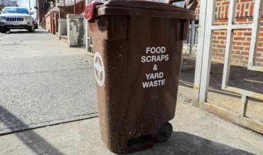 A compost bin on a street in Brooklyn.