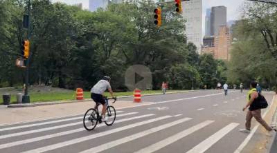A biker in Central Park runs a red light visible in traffic signal above as a pedestrian who has the right of way (white walk light visible on left) steps into cross walk.