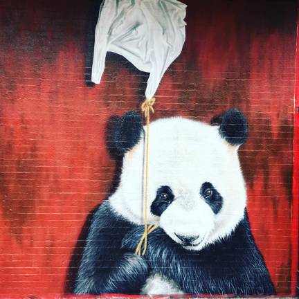 Panda on Canal Street in Chinatown.