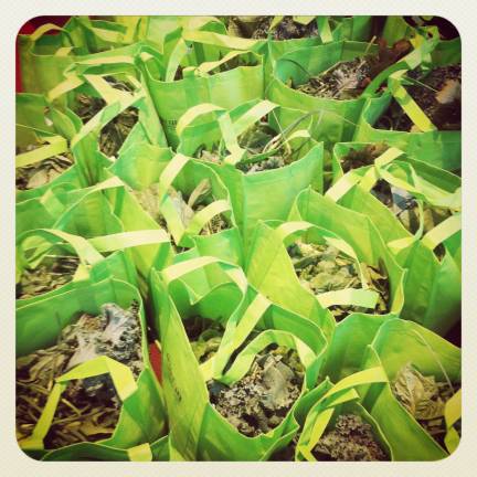 CSA - Community Supported Agriculture - programs provide small farms with needed capital for the growing season, and buyers get fresh produce every week.