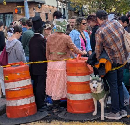 Look at me, not the construction barrels: I’m a dog in a green sweater.