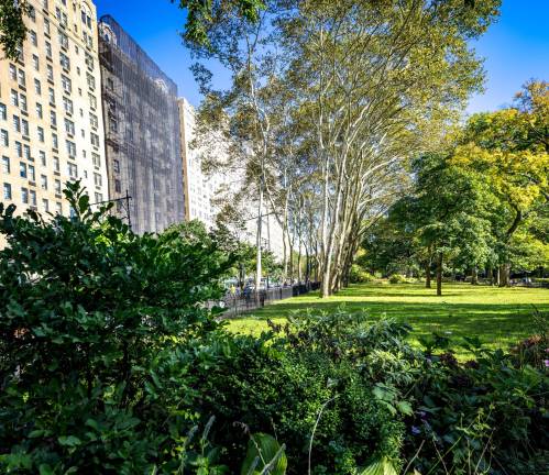 The immune system treats pollen, dust and mold as foreign and reacts by producing substances that cause allergic symptoms. Photo: Steven Strasser