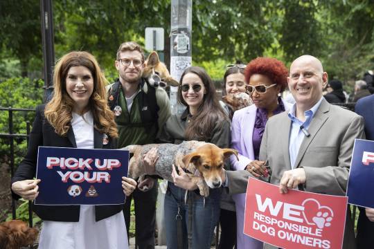 SCOOP Act Takes on Formidable, Foul Foe: NYC Dog Poop