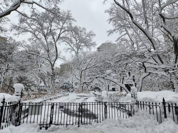 Madison Square Park looked beautiful, but the Parks Dept. closed it down on Feb. 23 due to danger from fallen branches laden down with heavy, wet snow.