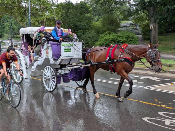 A pedal bicyclist overtakes a horse carriage in the rain, July 30, 2026.