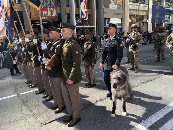 The color guard of the Fighting 69th Regiment, with its Irish wolf hound mascot, is the first unit to head up Fifth Ave. at the St. Patrick’s Day Parade. The regiment traces its roots to the American Civil War.