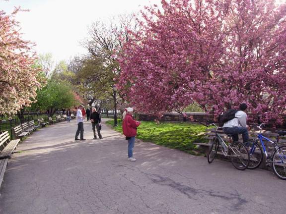 Riverside Park, where Movement Speaks is held (not exact location.) Photo: Wikimedia Commons.