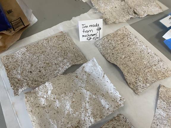 Nicole Cooper has been exploring the concept of regenerative relationships through her new project. This focus led her to experiment with paper making, which she did using mushrooms.
