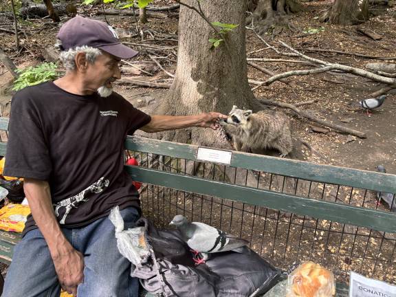 Israel Ortiz offers a croissant to a raccoon in Central Park, part of a daily ritual he has maintained for nearly two decades.