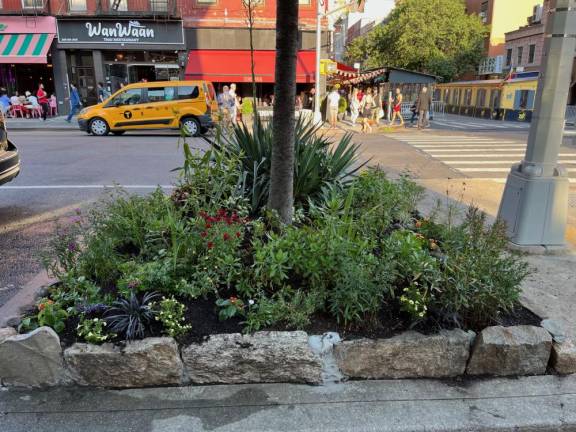 Pete Wilkins’ garden on 20th Street and Eighth Avenue. Photo: Chris Toto