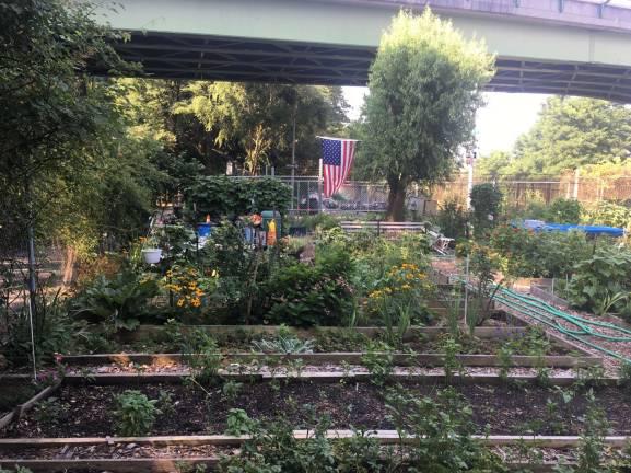 The Riverside Valley Community Garden at the western end of 138th Street.