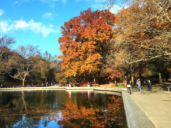 Conservatory Water, Central Park's boat pond, in November. Photo: Carl Mikoy, via flickr