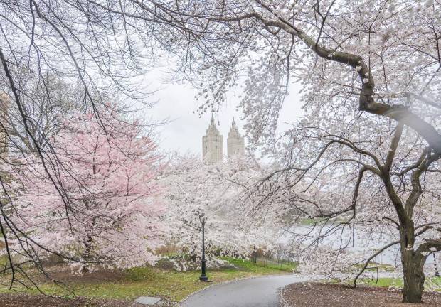 Central Park. Photo: Noel Calingasan