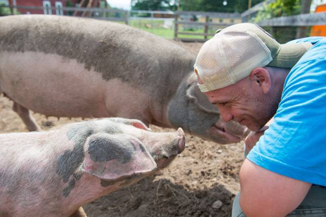Animal caretaker Todd Friedman helps out a beneficiary of the Woodstock Farm Sanctuary. Photo: Melissa Cacioppo