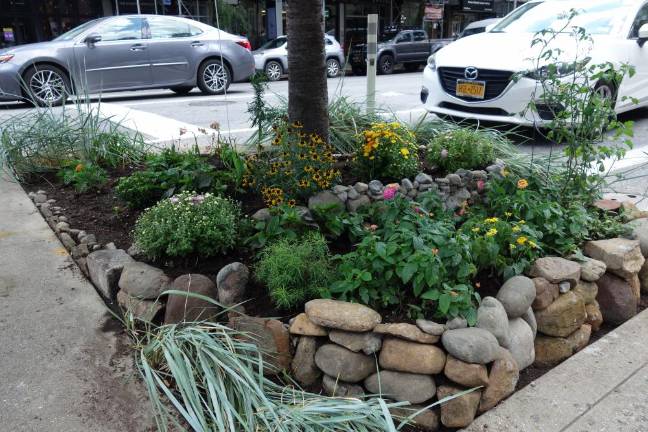 Flowers and rocks. Photo: Deborah Fenker