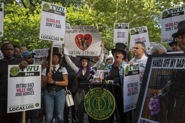 The Transportation Workers Union Local 100, which represents the carriage workers, maintained their position of “save the horses, save the park.”