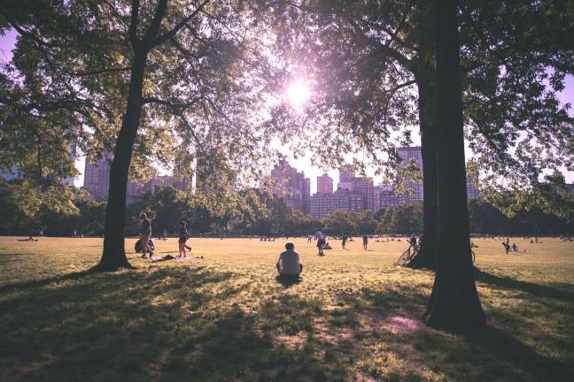 The summer bucket List Our Take