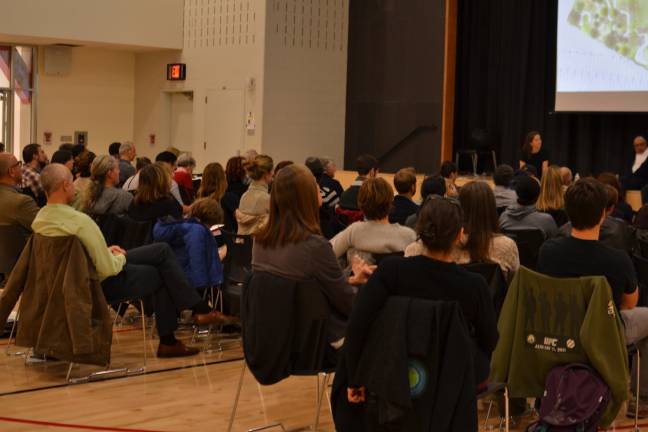 Photo by Madeleine Thompson