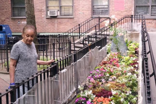 Delfena Plasencea gardening the outside of her Chelsea-Elliot apartment on 10th Avenue and 26th Street. Photo: Beau Matic.