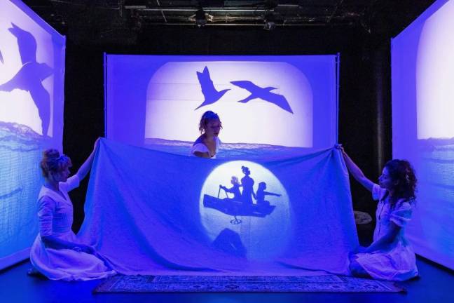 Hit the Lights! is famous for its use of shadow puppetry, playing with light and dark, and magical themes. Puppetry by Casey Scott Leach, Erica Knight, and Jessie March.