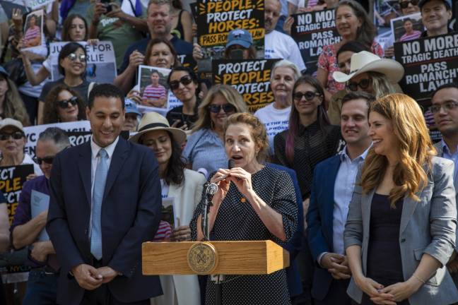 Actress Edie Falco, best known for her role as Carmela Soprano in the HBO hit “The Sopranos,” showed up to a pre-hearing rally in support of banning the horse carriages. Falco also later testified during the hearing itself.