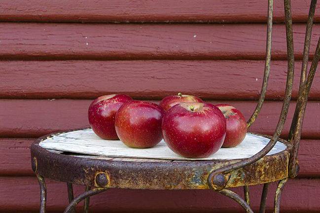 That sheen on an apple is likely from a naturally occurring wax that is applied after harvesting, to replace the natural resin that was wiped away when the fruit is washed during processing.